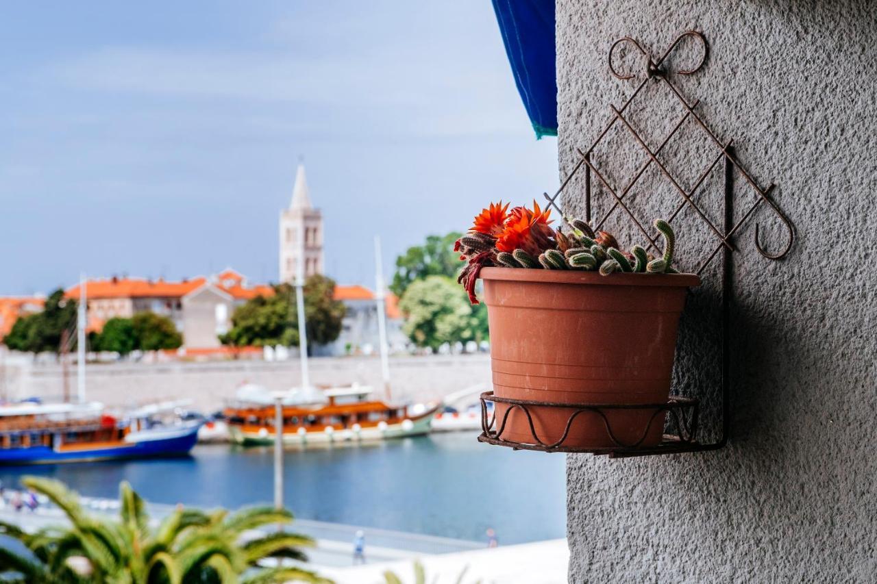 Art&View Lejlighed Zadar Eksteriør billede